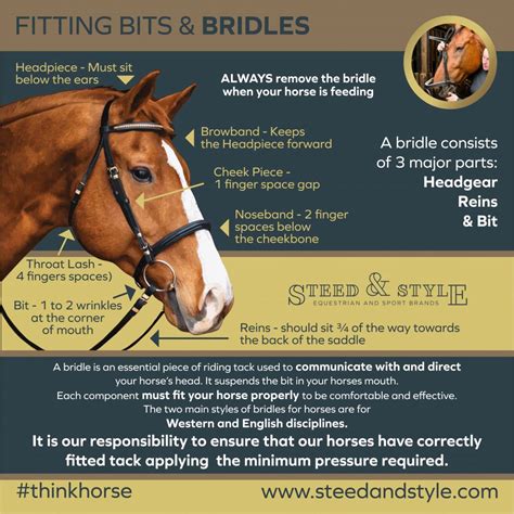 the bridle and the bit.